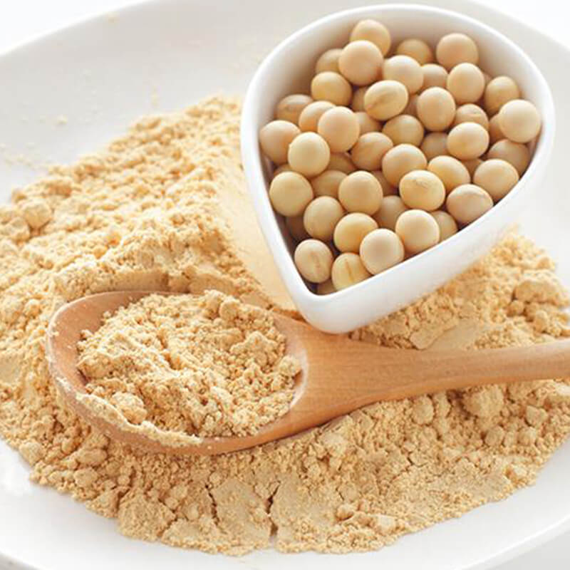 soya proteini nedir