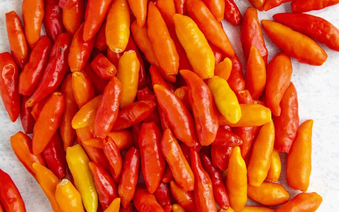 Tabasco Biberi Nedir? Özellikleri