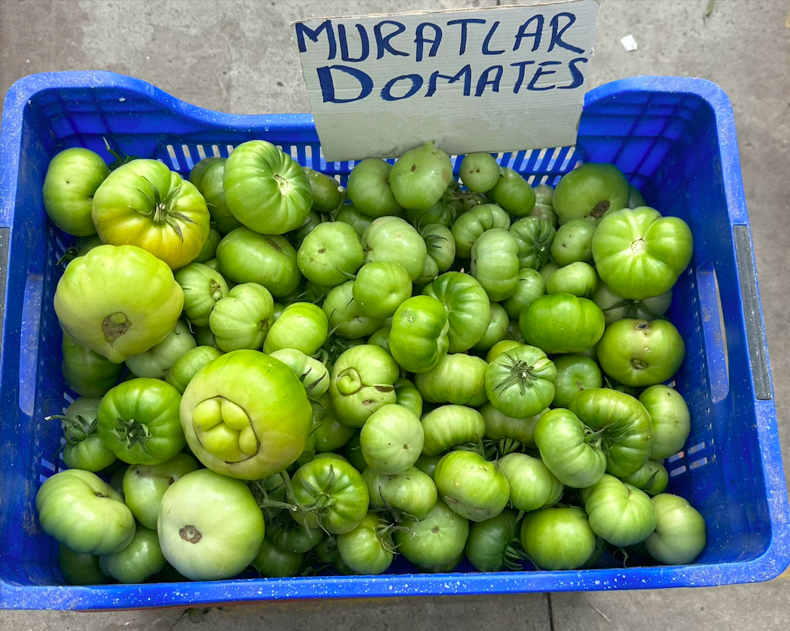 Yeşil Domates Turşusu Nasıl Yapılır