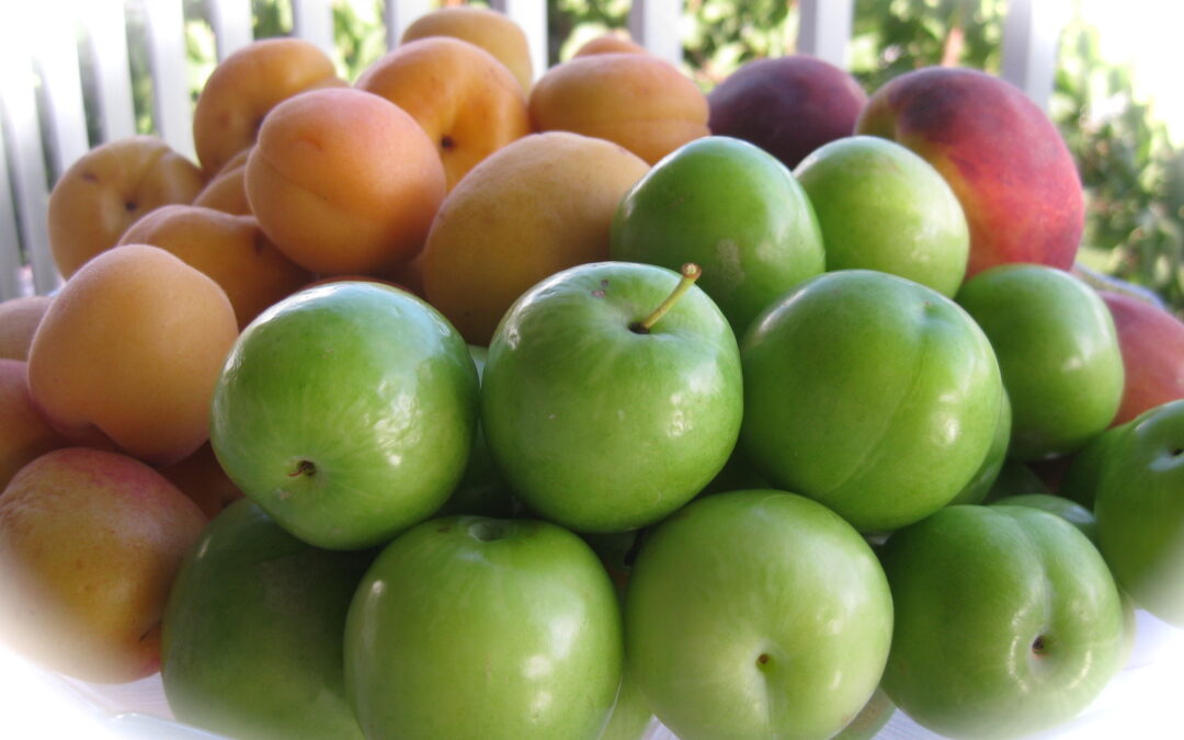 Erik Kaç Kalori? Yeşil Erik Kaç Kalori?