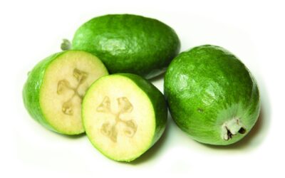 Feijoa Meyvesi Nasıl Yenir? Ne Zaman Meyve Verir?