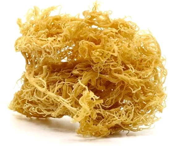 Irish Moss (Gold Sea Moss) Faydaları