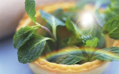 Kıvırcık Nane PCOS için Etkili Olabilir mi? (Spearmint Tea)