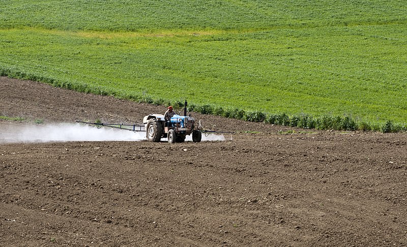 Klorpirifos Zararları