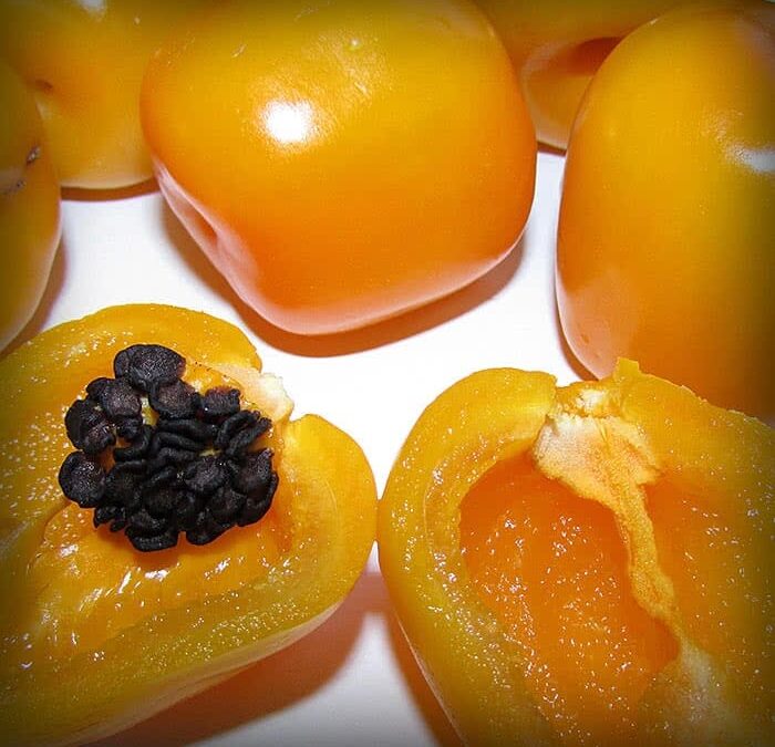 Manzano Biberi Nedir, Nerede Yetişir?