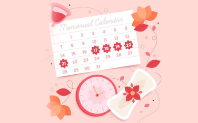 Menstrual Döngü Nedir? Menstrual Döngü Evreleri