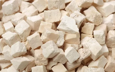 Poria Mantarı Nedir? Poria Mushroom Faydaları