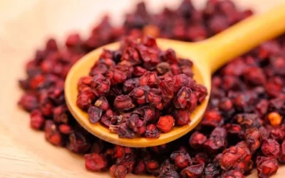 Schisandra Berry Faydaları Neler?