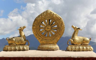 Dharma Çarkı Nedir?