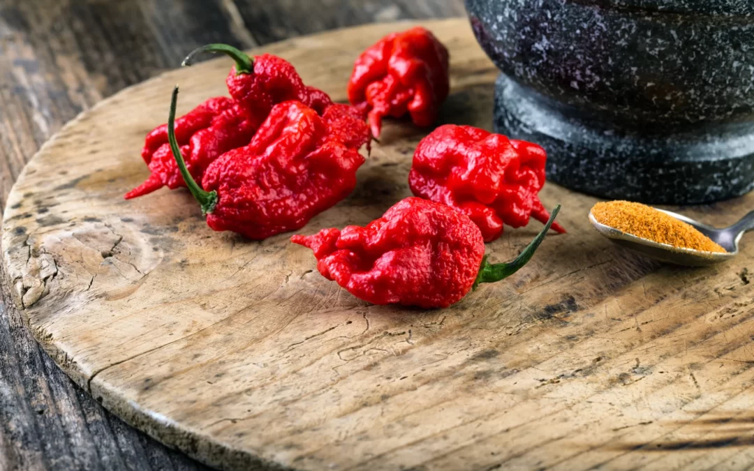 dünyanın en acı biberi