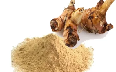 Havlıcan Neye Yarar? Havlıcan Nasıl Kullanılır? (Galangal)