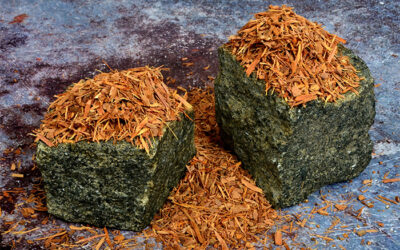 Lapacho Nedir? Lapacho Faydaları