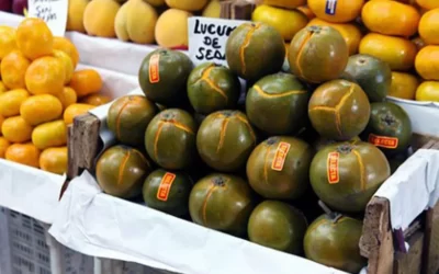 Lucuma Tozu Nasıl Kullanılır? Faydaları