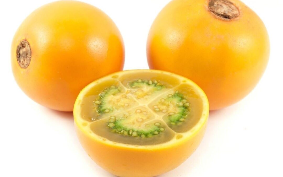 Solanum Quitoense nedir