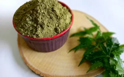 Neem Tozu Faydaları Nelerdir?