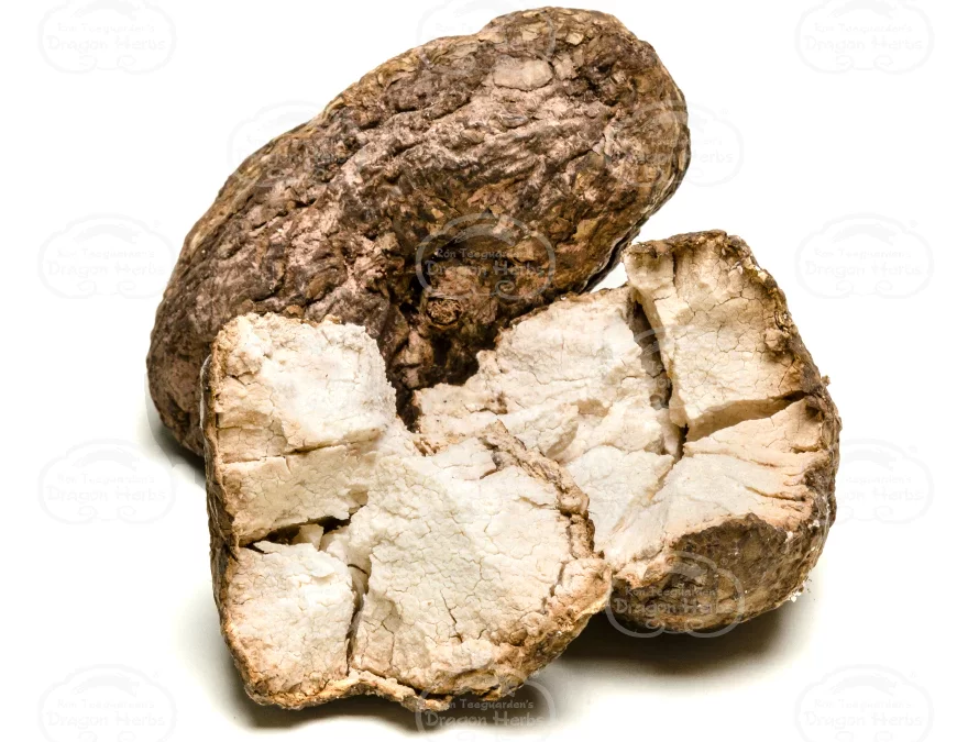 Fu Ling Nedir? Poria Cocos Mantarı