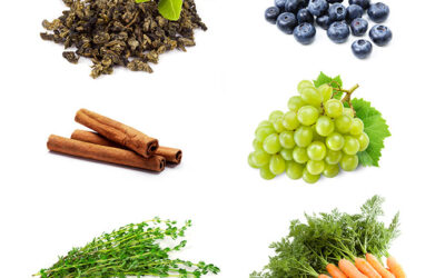 Terpenoid Nedir? Terpenoid Faydaları, Zararları
