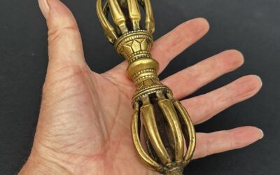 Vajra Nedir? Vajra Nasıl Kullanılır?