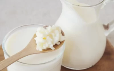 Yoğurt mu? Süt mü? Kefir mi? Hangisi Daha Sağlıklı?