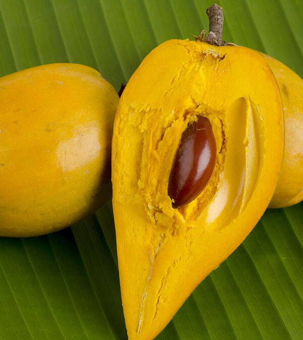 Eggfruit Nedir? Nasıl Yenir? Faydaları
