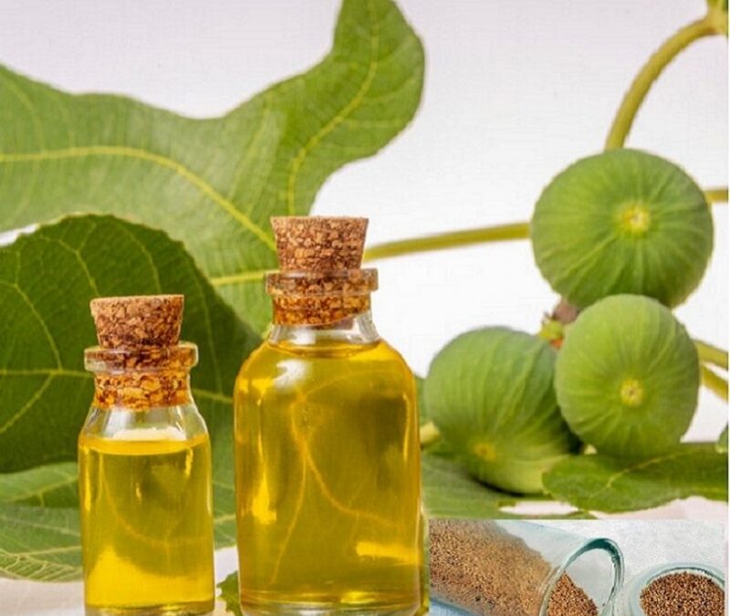 İncir Çekirdeği Yağı: Doğanın İyileştirici Dokunuşu