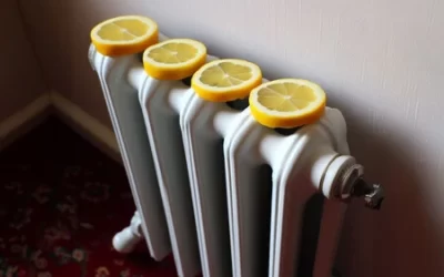 Kalorifer Peteklerine Limon Koymak: Efsane mi Gerçek mi?