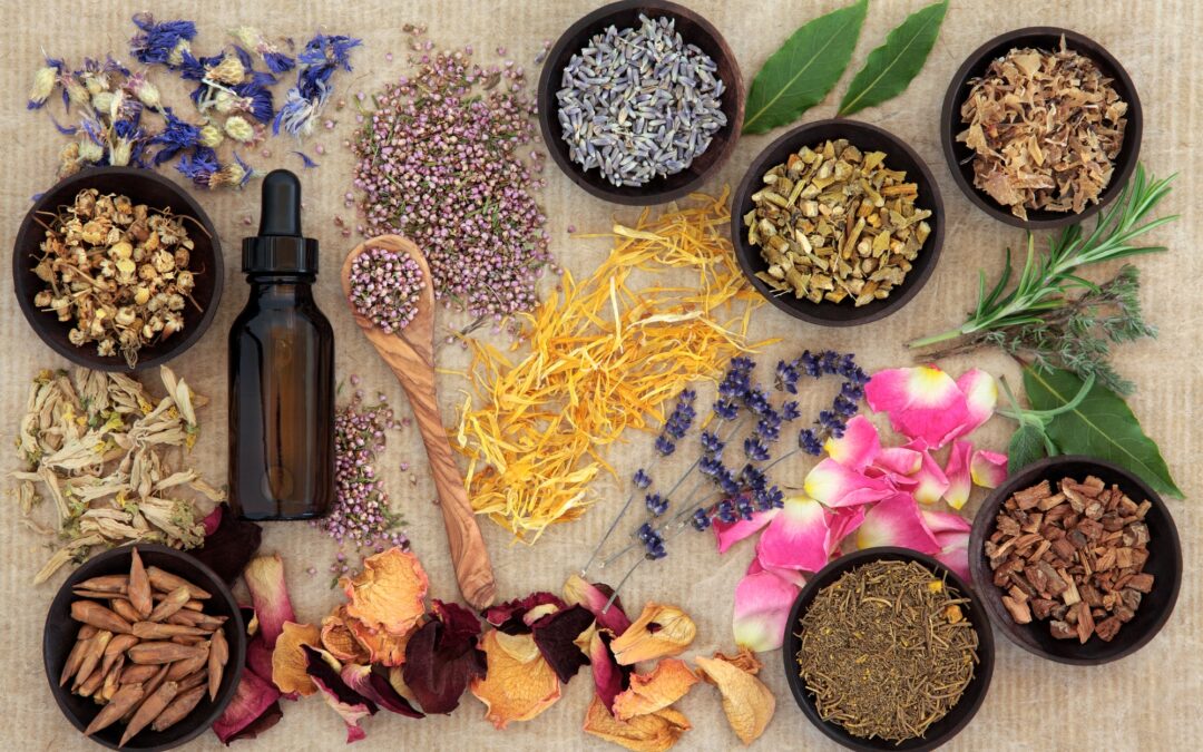 Naturopati nedir