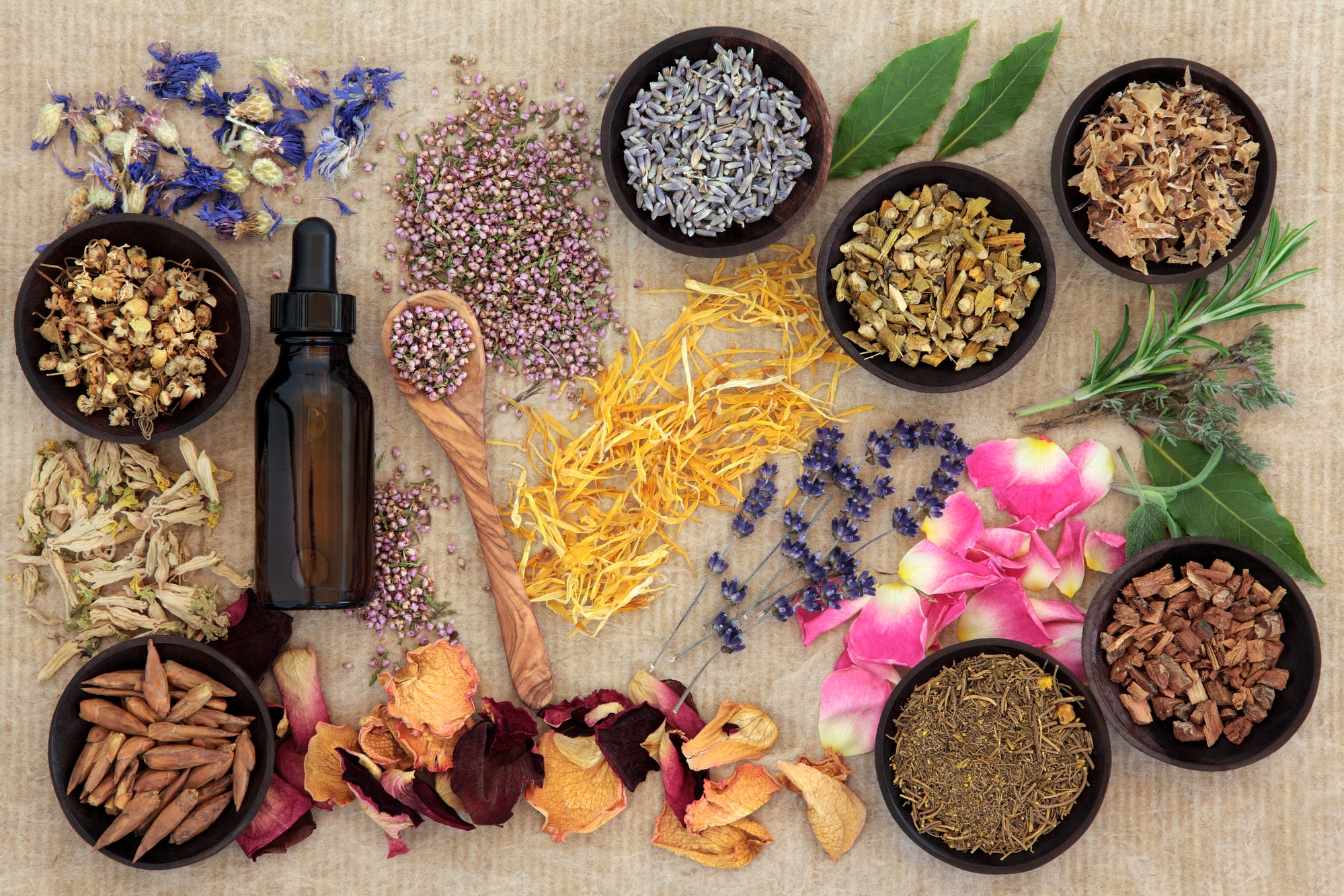 Naturopati nedir