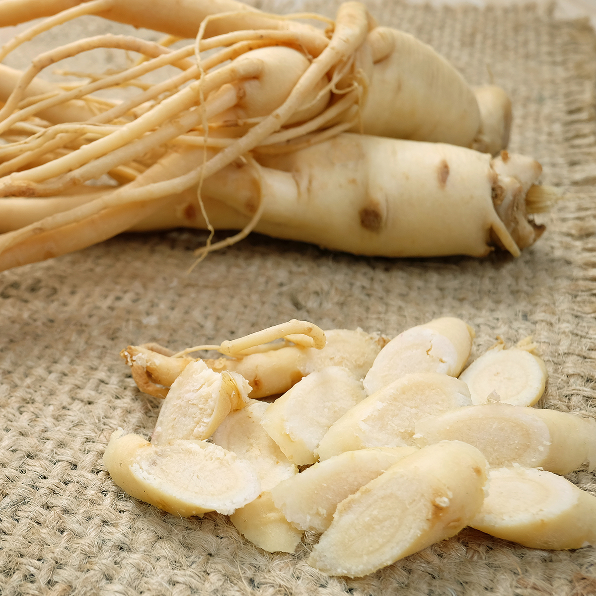 Panax ginseng faydaları