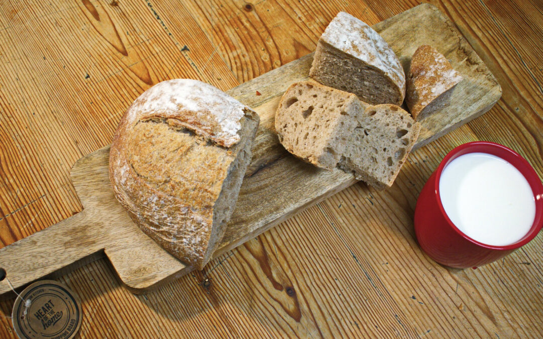 Taş Devri Diyeti Otizm İlişkisi