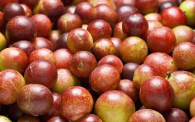 C Vitamini Deposu Meyve! Limondan 60 Kat Daha Fazla