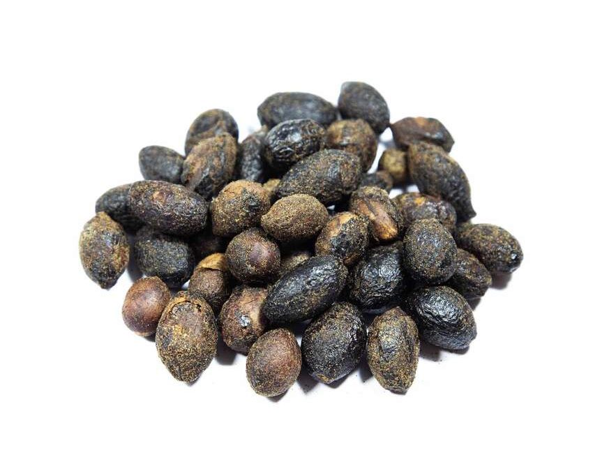 defne tohumu faydaları kullanımı