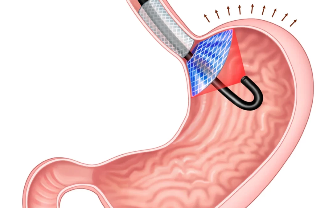 Ghrelin Hormonu: Vücut Saatini ve İştahı Düzenleyen Hormon