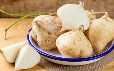 Jicama Nedir? Meksika Turpu