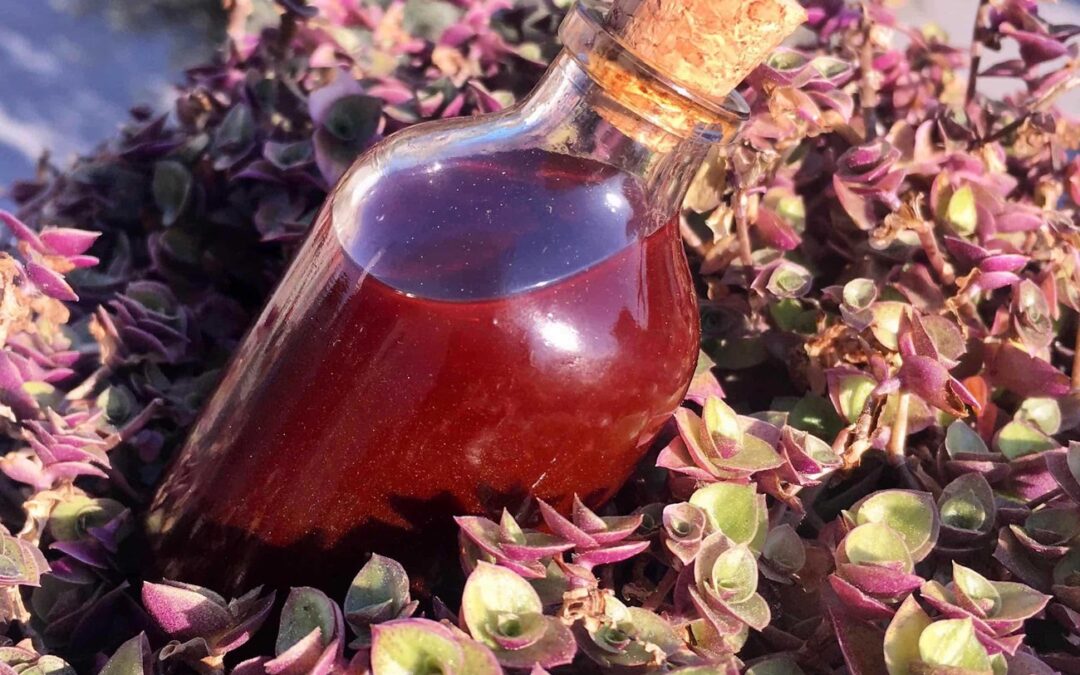 Kantaron Yağı Hangi Hastalıklara İyi Gelir?