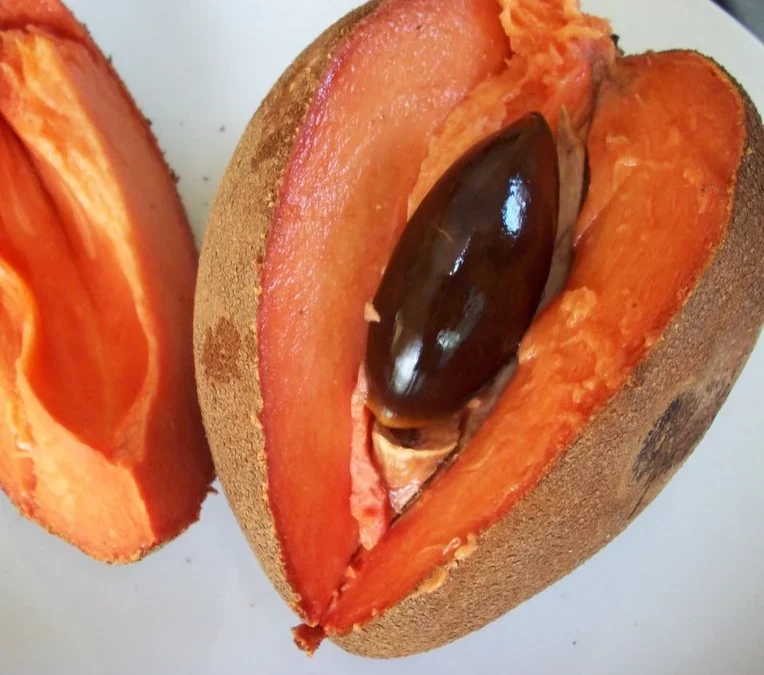 Mamey Nedir?: Lezzet Dolu Bir Meyve
