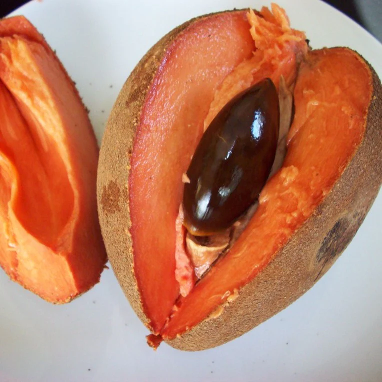 mamey nedir