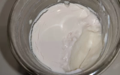 Pembeleşen Yoğurt Yenir mi?