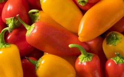 Santa Fe Grande Pepper Nedir? Acı mı?