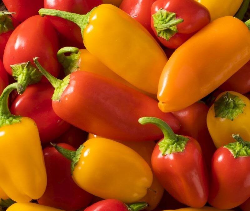 Santa Fe Grande Pepper Nedir? Acı mı?