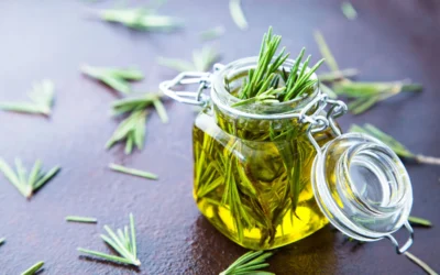Biberiye Yağı Özü Faydaları Nelerdir?