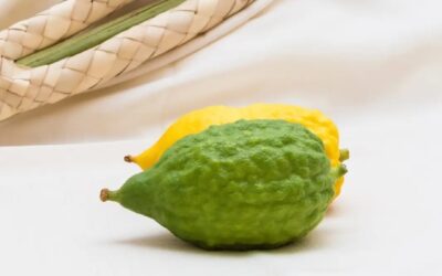 Citron (Citrus Medica) Nedir? Limondan Farkı Nedir?