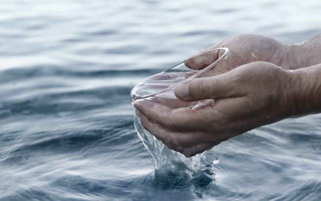 Deniz Suyu Neden İçilmez