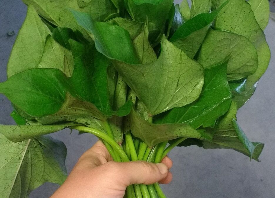 Patates Yaprağı Yenir mi?