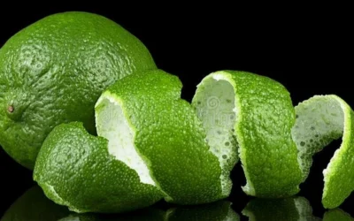 Salvestrol Nedir? Salvestrol Q40 Nedir?