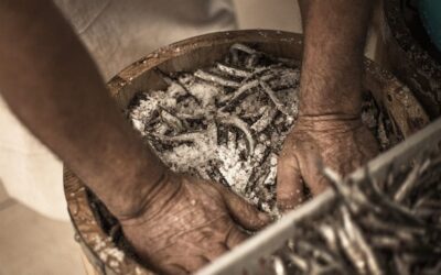 Colatura Di Alici Tarifi