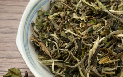 Mudan White Tea Özellikleri, Faydaları