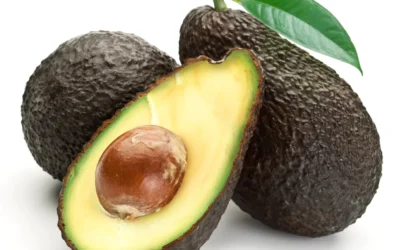 Stewart Avokado Özellikleri, Hasat Zamanı