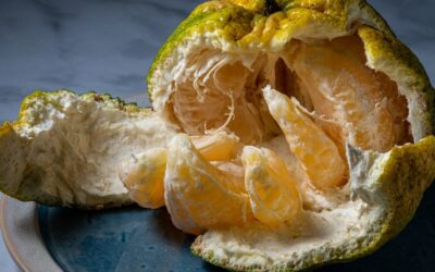 Ugli Meyvesi Nedir? Nerede Yetişir?