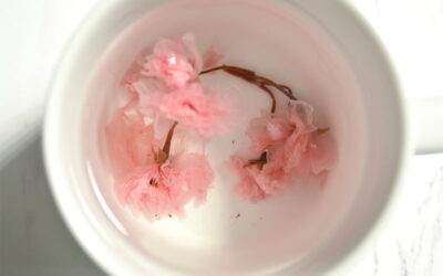 Cherry Blossom Çayı Özellikleri